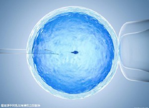 胚胎实验室主任